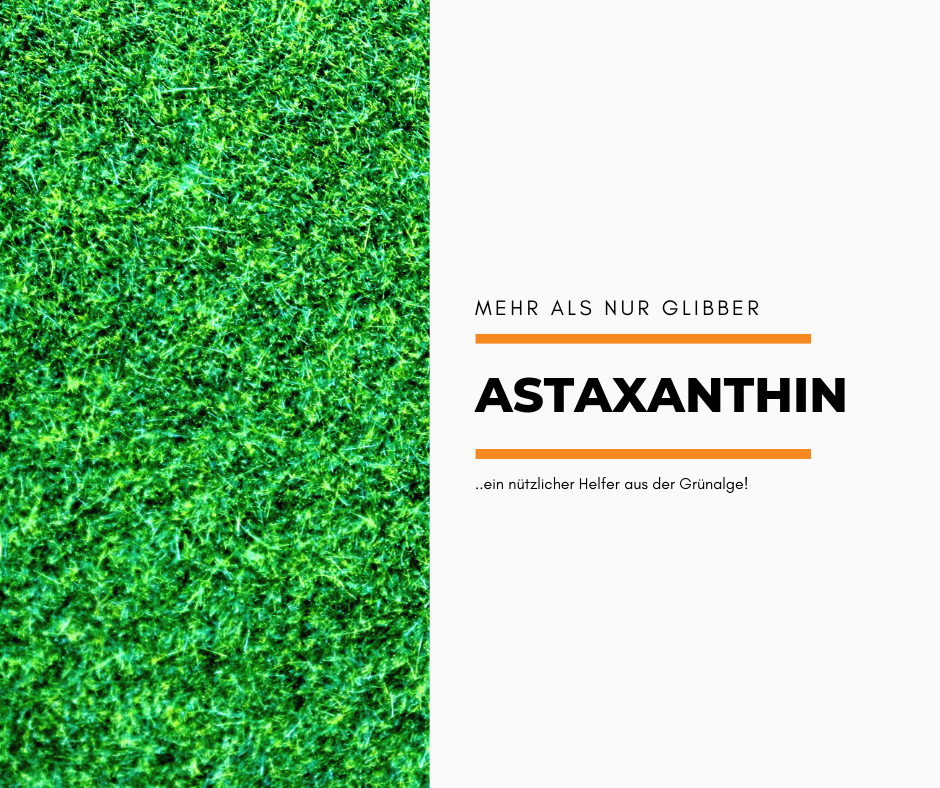 Du betrachtest gerade Astaxanthin – ein nützlicher kleiner Helfer