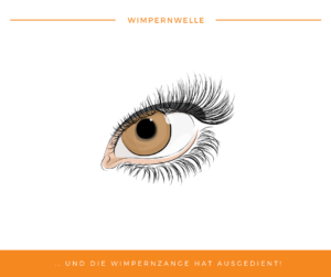 Mehr über den Artikel erfahren Die Wimpernwelle